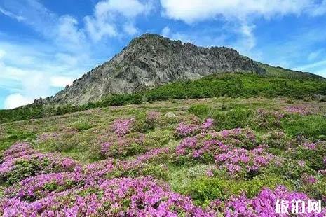 2019春节去济州岛玩什么