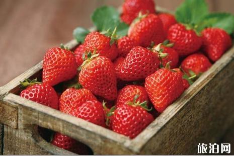 苏州哪里有摘草莓的地方 2019苏州草莓采摘出时间+地点+价格