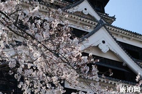 2019熊本櫻花盛開時(shí)間 2019熊本賞櫻地推薦