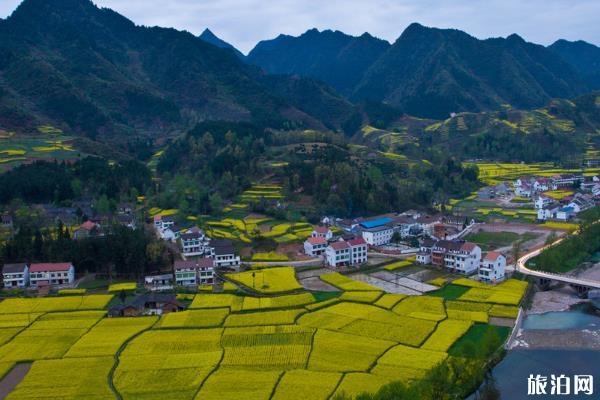 西安賞花的地方有哪些