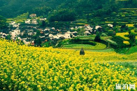 三月中旬去婺源旅行如何做准备