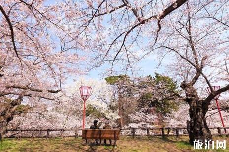 2019日本樱花时间预测+最佳地点推荐 北海道赏樱时间地点