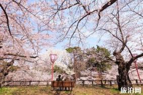 2019日本樱花时间预测+最佳地点推荐 北海道赏樱时间地点