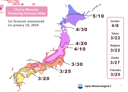 2019日本樱花时间预测+最佳地点推荐 北海道赏樱时间地点