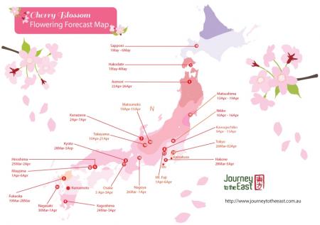 2019日本樱花时间预测+最佳地点推荐 北海道赏樱时间地点