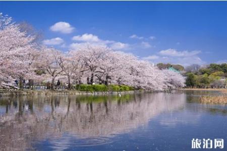 日本情侣分手禁地排行榜