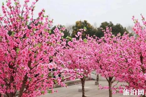 邳州元宵节灯会2019时间+地点+活动介绍+交通