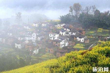 2022婺源油菜花花期 附门票及旅游路线