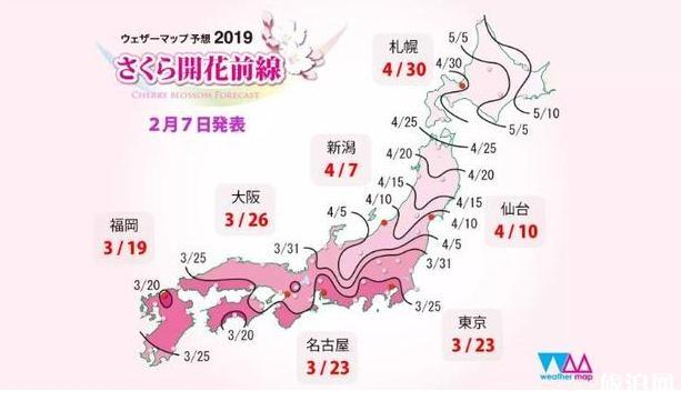 日本櫻花預測2019第二回公布 日本關東賞櫻名所攻略