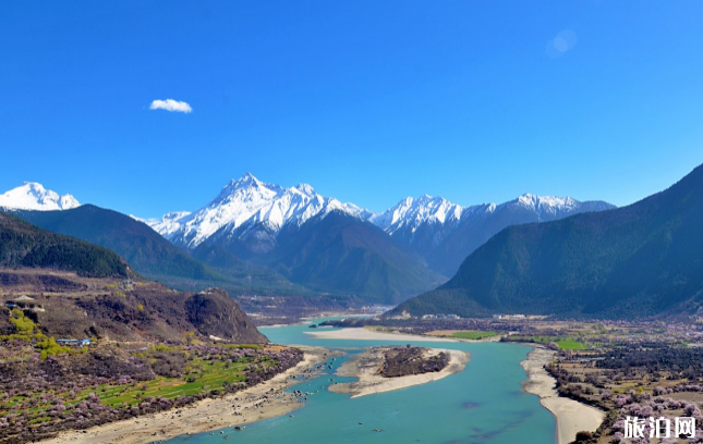 西藏雅鲁藏布大峡谷桃花最佳拍摄点