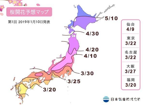 日本樱花几月份盛开 2019日本樱花观赏地推荐