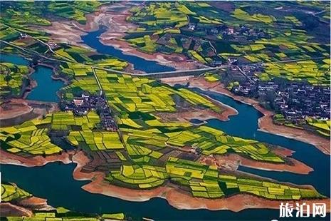 2019汉中油菜花节3月15日 时间+最佳观赏路线