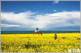 中国最美油菜花赏花地盘点