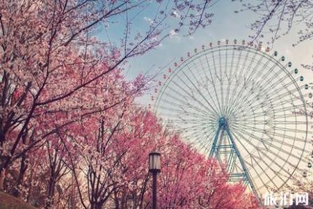 2019春节后机票价格多少