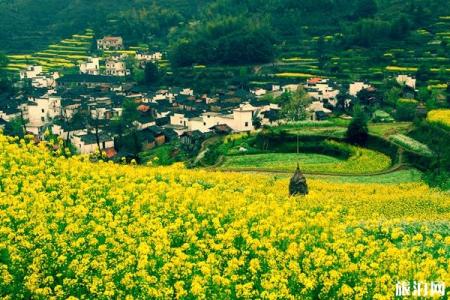 婺源旅游景点推荐