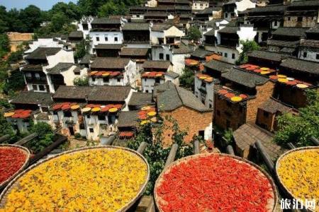婺源旅游景点推荐