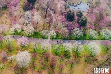 2019年东湖赏花联票价格+使用指南+交通指南