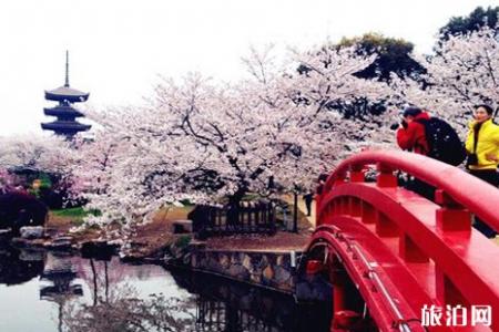2019年东湖赏花联票价格+使用指南+交通指南