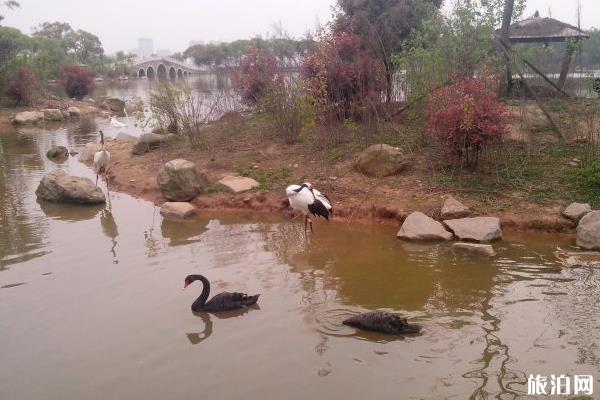 武漢動(dòng)物園周邊美食推薦