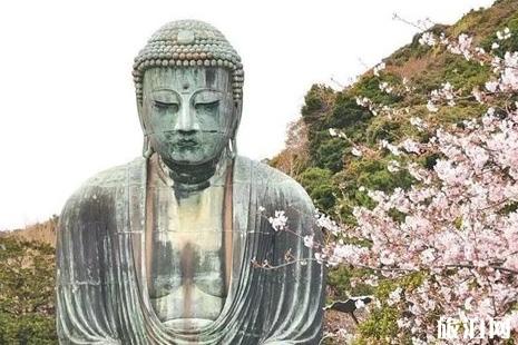 日本神奈川的樱花+富士山的樱花+日本东北地区樱花介绍