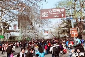 南京鸡鸣寺樱花开了吗2022