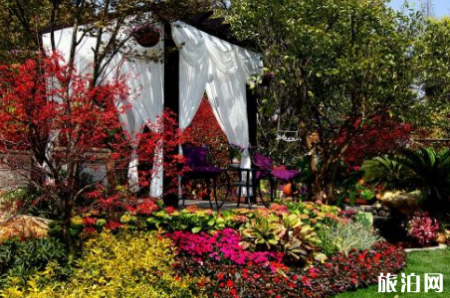 郑州植物园花展2019地点+时间