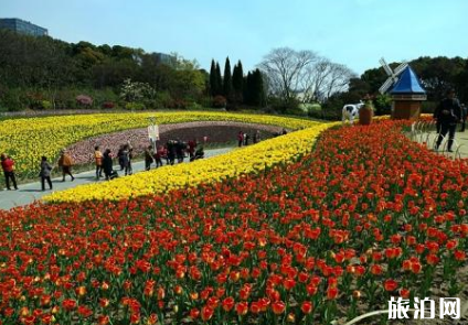 郑州植物园花展2019地点+时间