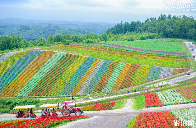 北海道哪里適合拍照 北海道旅拍地點推薦