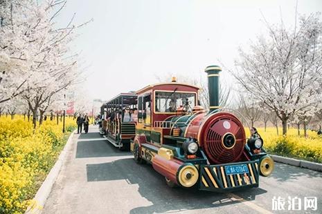 2019第四届荥阳古柏渡黄河樱花节 时间+地点