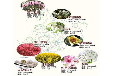 峨眉山杜鹃花几月份开