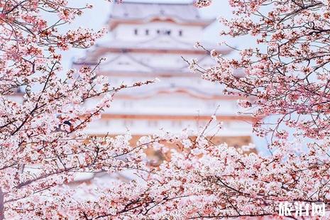 2019樱花季日本酒店价格+机票价格