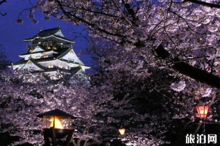 2019樱花季日本酒店价格+机票价格