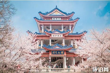 2019无锡鼋头渚樱花节3月1日开启