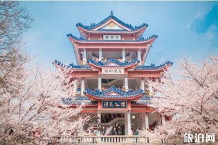 2019无锡鼋头渚樱花节3月1日开启