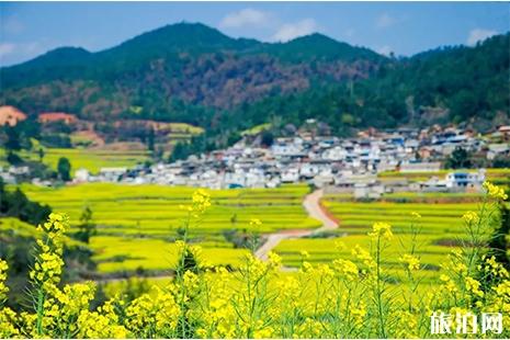 湖南衡阳县第八届油菜花节3月中旬