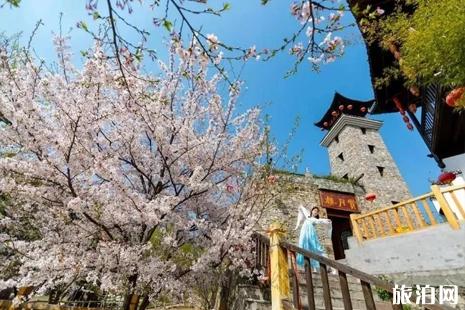 2019黄陂锦里沟樱花节时间 武汉赏花地点+票价+花期