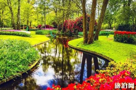 2019年三月去荷兰旅游景点推荐