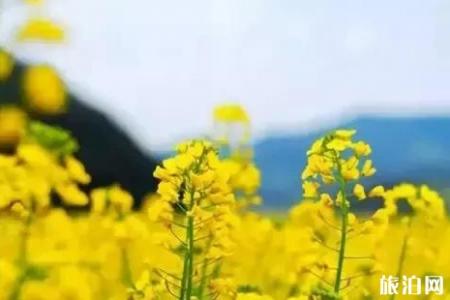 2019汉中旅游文化节景区优惠政策+酒店优惠