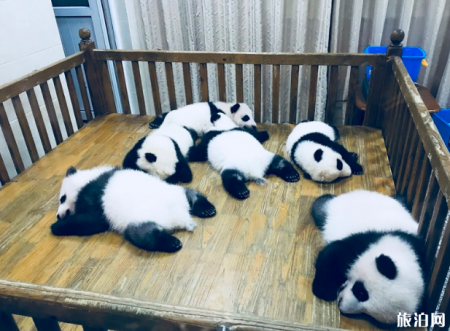 成都哪里适合情侣玩