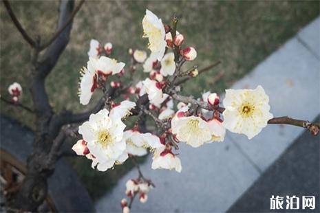 2019三八婦女節海灣國家森林公園優惠信息