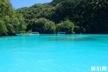 帕劳水母湖恢复了吗 帕劳水母湖游玩攻略