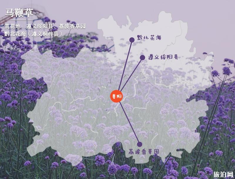 三月贵州哪里适合赏花 2019贵州全年赏花时间表