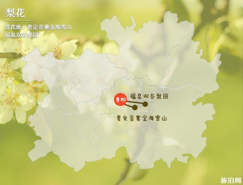 三月贵州哪里适合赏花 2019贵州全年赏花时间表