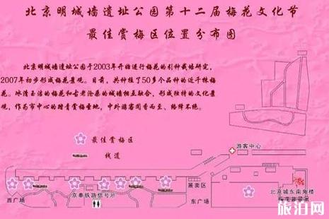 2019北京明城墙梅花文化节时间+地点+门票+交通+介绍