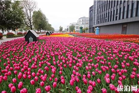 2019三八妇女节芜湖景区优惠信息汇总