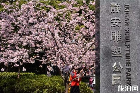 2022上海哪里看樱花最好