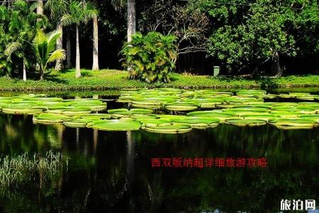 西双版纳旅游攻略(景点+交通+美食+注意事项)