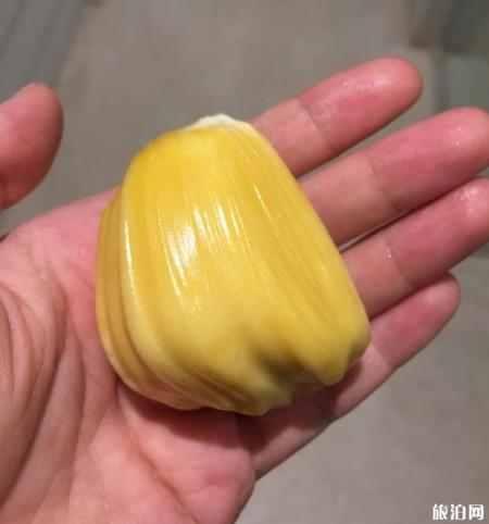 西双版纳旅游攻略(景点+交通+美食+注意事项)