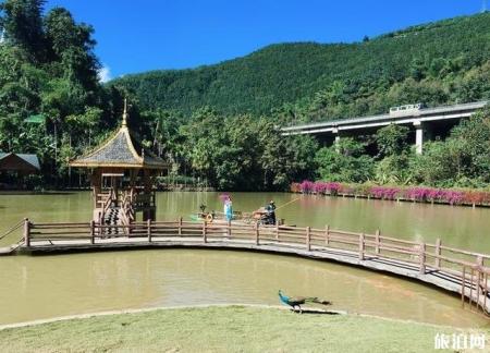 西双版纳旅游攻略(景点+交通+美食+注意事项)