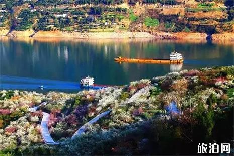 2019第二届长江三峡巫山李花节3月16日开启